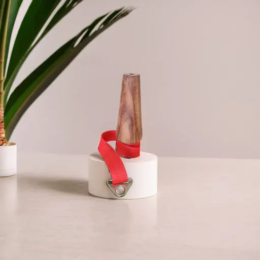 Cone with Strap 